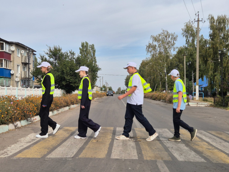 День безопасности.